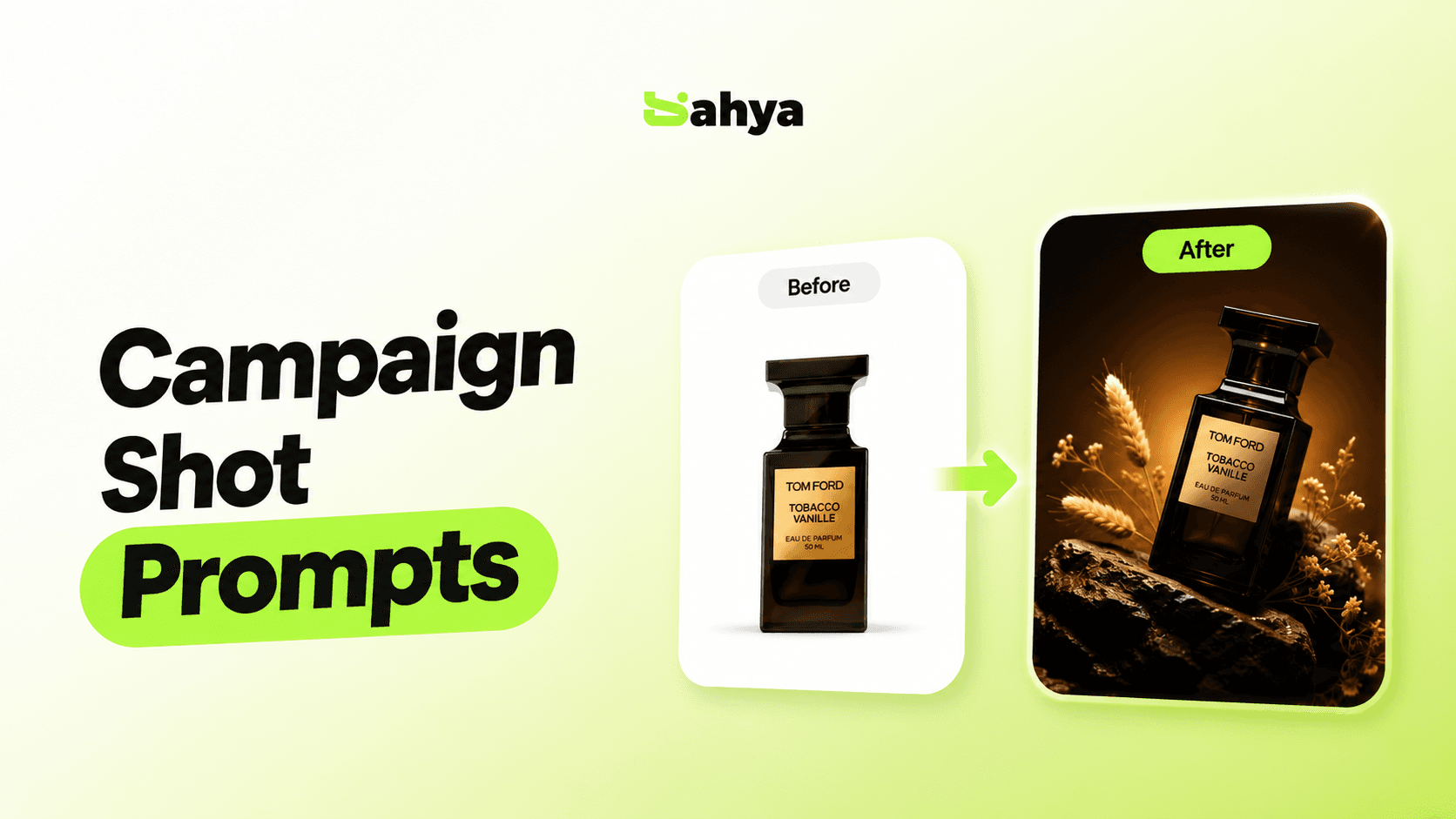 Campaign Shot Prompts